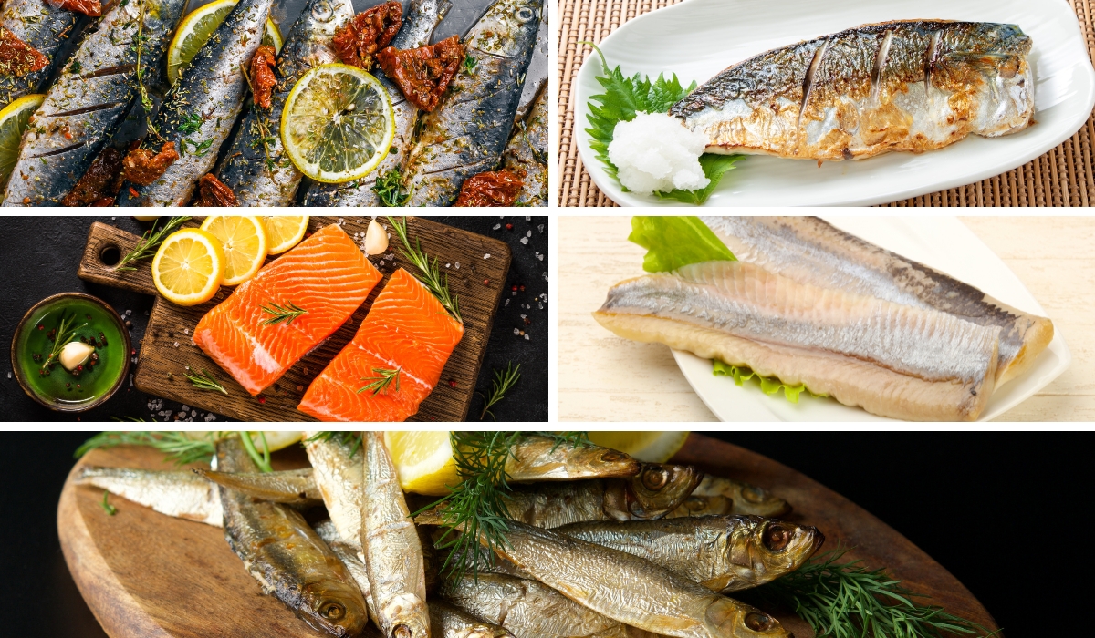 The Healthiest Fish to Eat: A Complete Guide to Omega-3s and Mercury Levels
